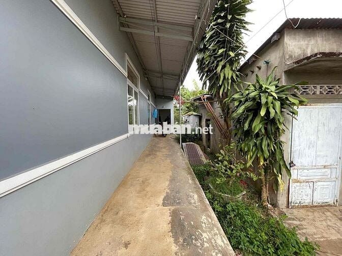 Nhà vườn Lộc Thanh - Bảo Lộc DT 1091m2 (21mx50m) gần nút giao cao tốc
