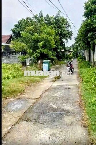Đất thổ cư 1/Mai Thị Chửng-Tân An Hội-Củ Chi.Dt 3518m2~22ty