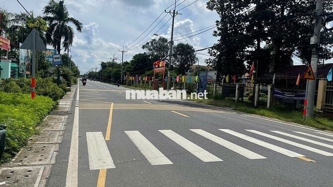 Bán gấp 172m2 mặt tiền đường nhựa trung tâm xã Thái Mỹ Củ Chi 850triệu