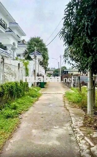 Đất thổ cư 1/Mai Thị Chửng-Tân An Hội-Củ Chi.Dt 3518m2~22ty