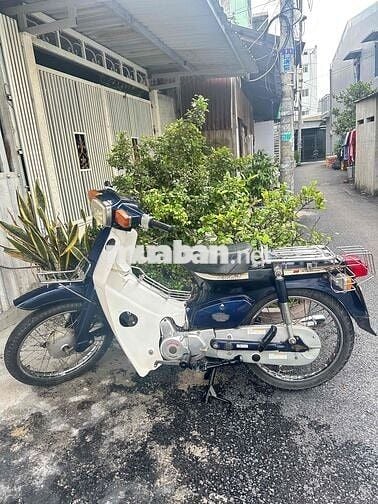 Xe 50cc Super cup 82 xe bstinh 60 giay to hop le