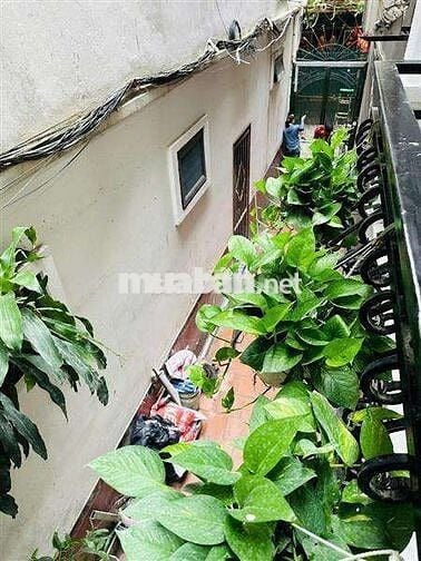 🏡☘️ GIẢM SỐC CÒN HƠN 7 TỶ - BÁN NHÀ CẦU GIẤY, NHÀ ĐẸP MT RỘNG Ở LUÔN