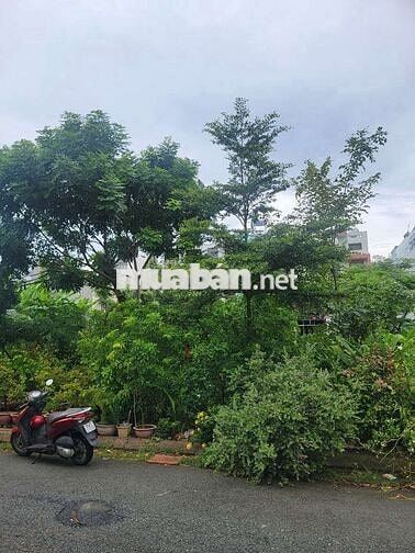 Đất 13E Phong Phú BC - Khu làng đại học