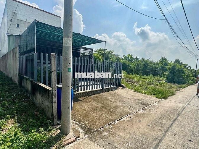 BÁN ĐẤT: 5x23 thổ cư Nguyễn Thị Rành Trung Lập Hạ - SHR