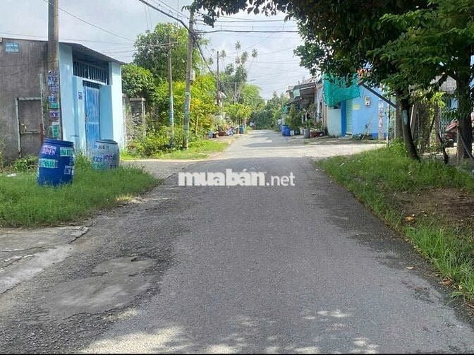 BÁN ĐẤT: 5x37 (187m2) thổ cư  ngay chợ Trung Lập Hạ - SHR