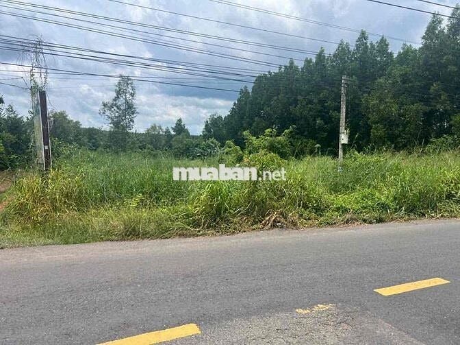 Cần bán 4500m vuông đất mặt tiền Long Tân, Dầu Tiếng. Giá 15 tỷ