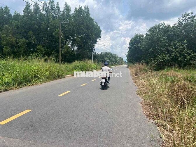 Cần bán 4500m vuông đất mặt tiền Long Tân, Dầu Tiếng. Giá 15 tỷ