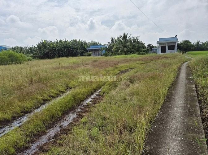 CHÍNH CHỦ bán 2031m2 đất lúa xa Tân Lân 