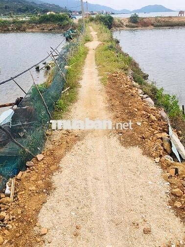 BÁN ĐÌA NHÀ KHÔNG SỬ DỤNG – CHÍNH CHỦ – KHÔNG QUA TRUNG GIAN