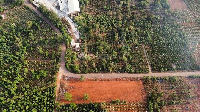 Bán đất 500m2 đường B, Cưebur. 