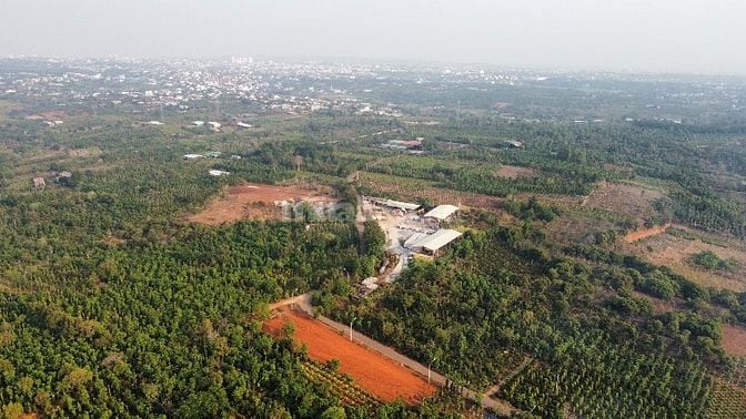 Bán đất 500m2 đường B, Cưebur. 
