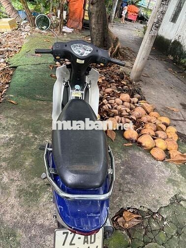 Elegant 50cc gtdd biển 72