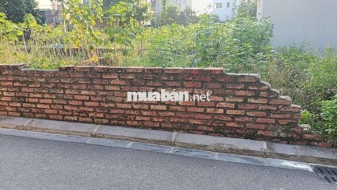 NÁN ĐẤT HẢI BỐI VỊ TRÍ ĐẸP GIÁ SIÊU HỜI