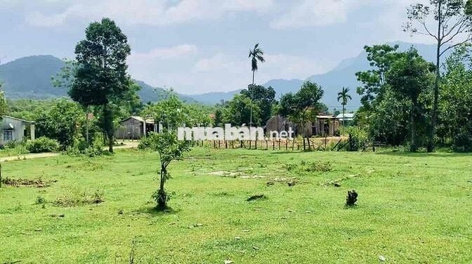 Mảnh vườn có sẵn đất ở mặt ngang 38m có sẵn đất ở