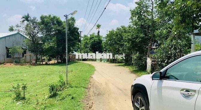 Mảnh vườn có sẵn đất ở mặt ngang 38m có sẵn đất ở