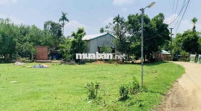 Mảnh vườn có sẵn đất ở mặt ngang 38m có sẵn đất ở