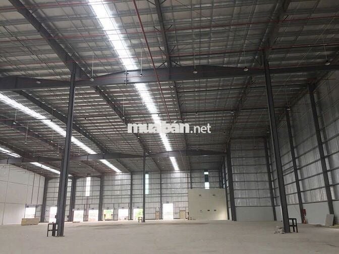 Cho Thuê Xưởng 3000m² Trong KCN Tân Tạo, TP.HCM – Giá chỉ 70k/m²