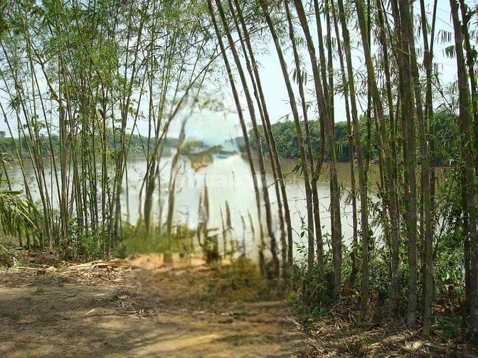 BÁN ĐẤT VƯỜN/ THỔ CƯ MẶT TIỀN SÔNG ĐỒNG NAI GIÁ 1,5 TRIỆU/m2 CÓ SỔ ĐỎ