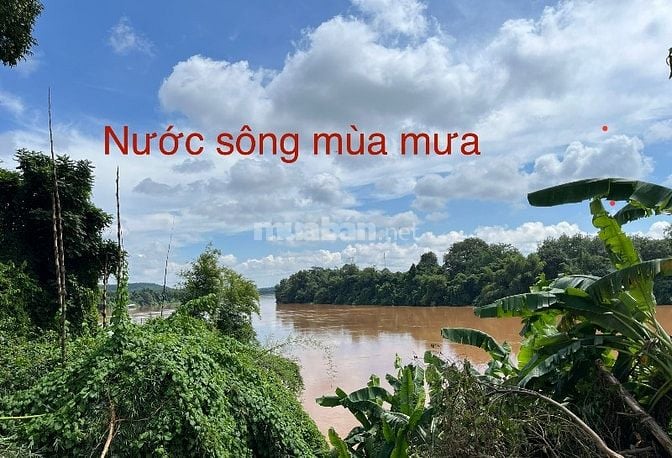 BÁN ĐẤT VƯỜN/ THỔ CƯ MẶT TIỀN SÔNG ĐỒNG NAI GIÁ 1,5 TRIỆU/m2 CÓ SỔ ĐỎ