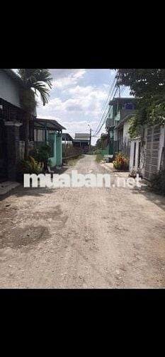Chinh chủ ban đất Tân Thạnh Đông, Củ Chi, DT 10x39m ,