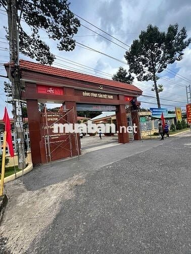 Bán đất nền mặt tiền đường ĐH509, 1000m2 (10x100) 100m2 TC, giá 800tr