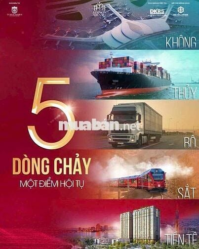 Sống tại biểu tượng Sống chất chuyên gia