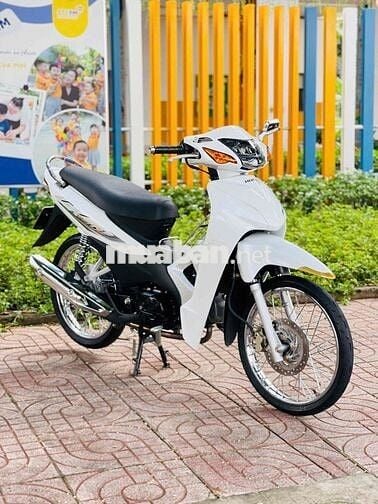 wave @ 2019 , biển víp , 59-S2 79 8 79