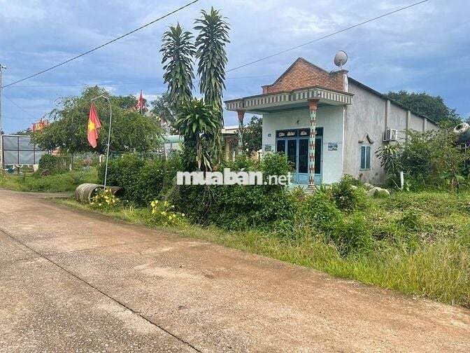 Ngộp bank cần ra gấp lô đất đối diện UBND xã An Long, TP.HCM, SHR