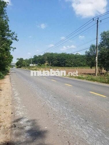 Bán đất nền mặt tiền đường ĐH509, 1000m2 (10x100) 100m2 TC, giá 800tr