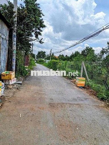 🏠 BÁN NHÀ + DÃY PHÒNG TRỌ AN PHÚ TÂY, BÌNH CHÁNH – THU NHẬP ỔN ĐỊNH
