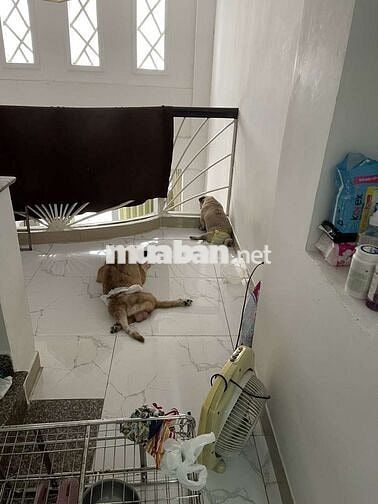 Nhà 4pn nguyễn văn nghi ngay chợ Gò Vấp trường Đhcn4, thích hợp ở KDOL