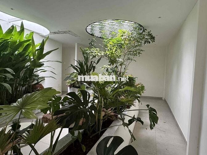 🌿 CHDV TRỆT LỮNG 3 LẦU CÓ THANG MÁY – NGUYỄN HỮU CẢNH, BÌNH THẠNH