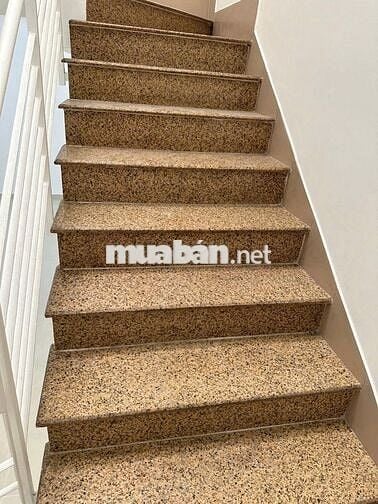 Cho Thuê Nhà Đường Lý Thường Kiệt, Quận 11 (4x30m - 1 lầu - nhà rộng)