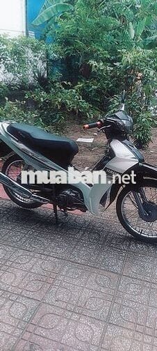 Bán sirius sạch sẽ