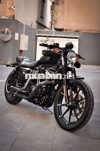 Thanh Motor cần bán Harley Davidson Iron 883 2021