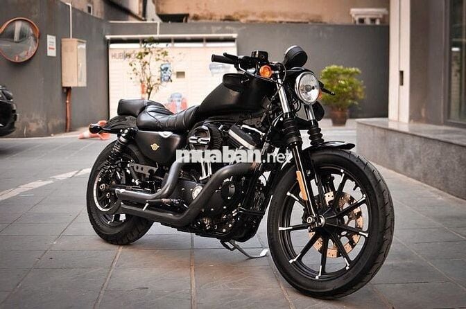 Thanh Motor cần bán Harley Davidson Iron 883 2021