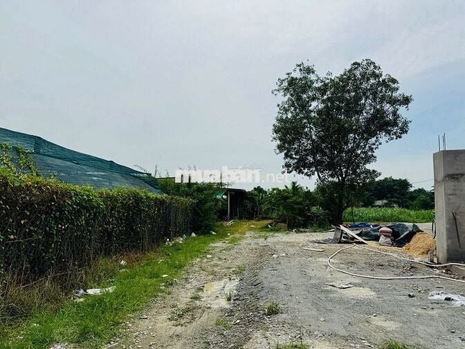 Đất khu dân cư cách đường Ba Sa 300m - Phước Hiệp: 123m2-Giá 750 triệu