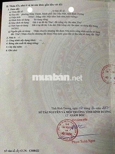 Đất Mặt Tiền Kinh Doanh Đầu Tư 2 Trong 1, 105m2/1,25 tỷ Sổ Hồng Riêng