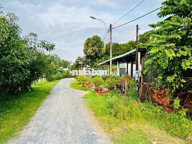 Bán đất Trung Lập Hạ - Củ Chi : 101,7n2 - full thổ cư . Giá 750 triệu