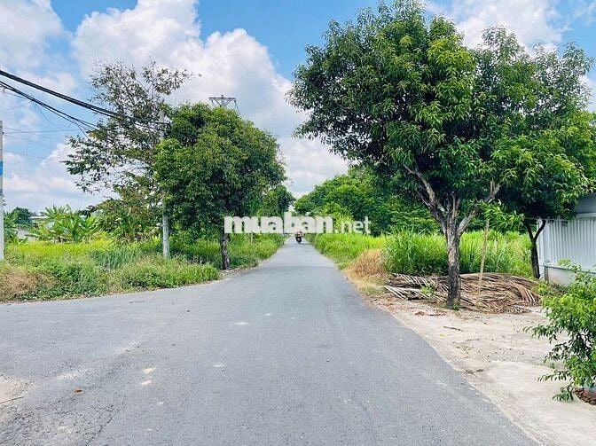 Bán đất mặt tiền 218 - Tân Thông Hội: 110,7m2 ( 5x22 ) - Giá 1 tỷ 400