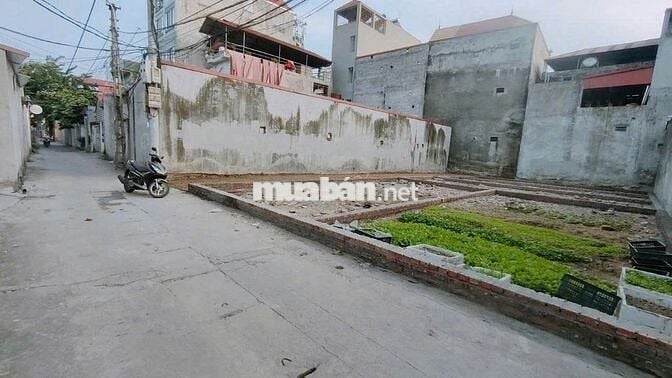 Bán đất tổ 6, Quang Minh, Mê Linh. Đường thông, oto tránh, gần KCN và