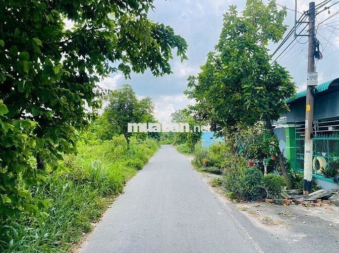 Bán đất mặt tiền 218 - Tân Thông Hội: 110,7m2 ( 5x22 ) - Giá 1 tỷ 400
