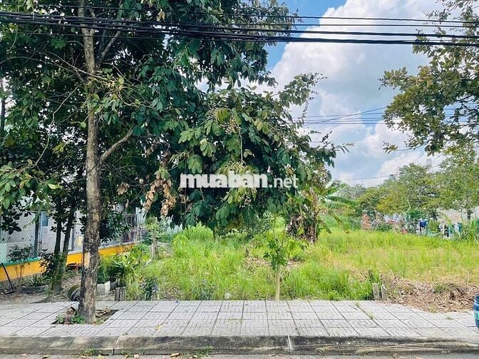 Bán đất mặt tiền 218 - Tân Thông Hội: 110,7m2 ( 5x22 ) - Giá 1 tỷ 400