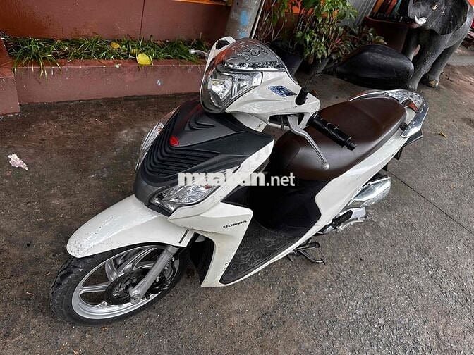 Vison Bstp Chính chủ