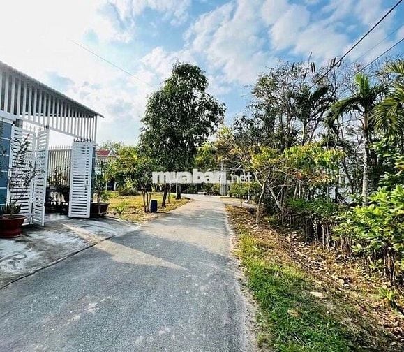Bán đất đường nhánh Đỗ Văn Dậy, Hóc Môn – 5x20m – Giá 1 tỷ 550 triệu