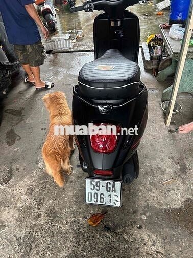 xe vespa bản iget