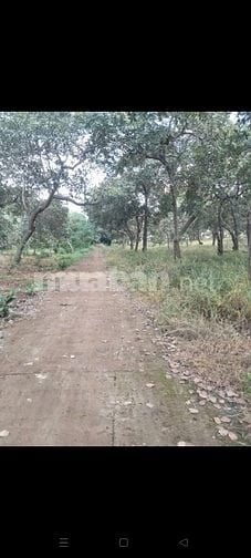 nhà đất nghĩ dưỡng 400m thổ cư, đuong ô tô có điều già