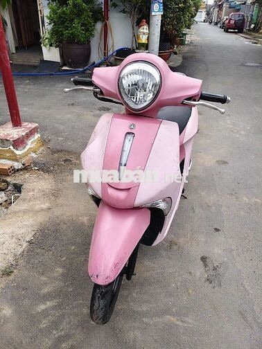 Janus zin êm .ngay chủ