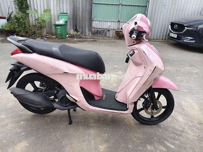 Janus zin êm .ngay chủ