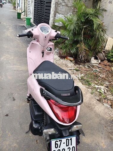 Janus zin êm .ngay chủ